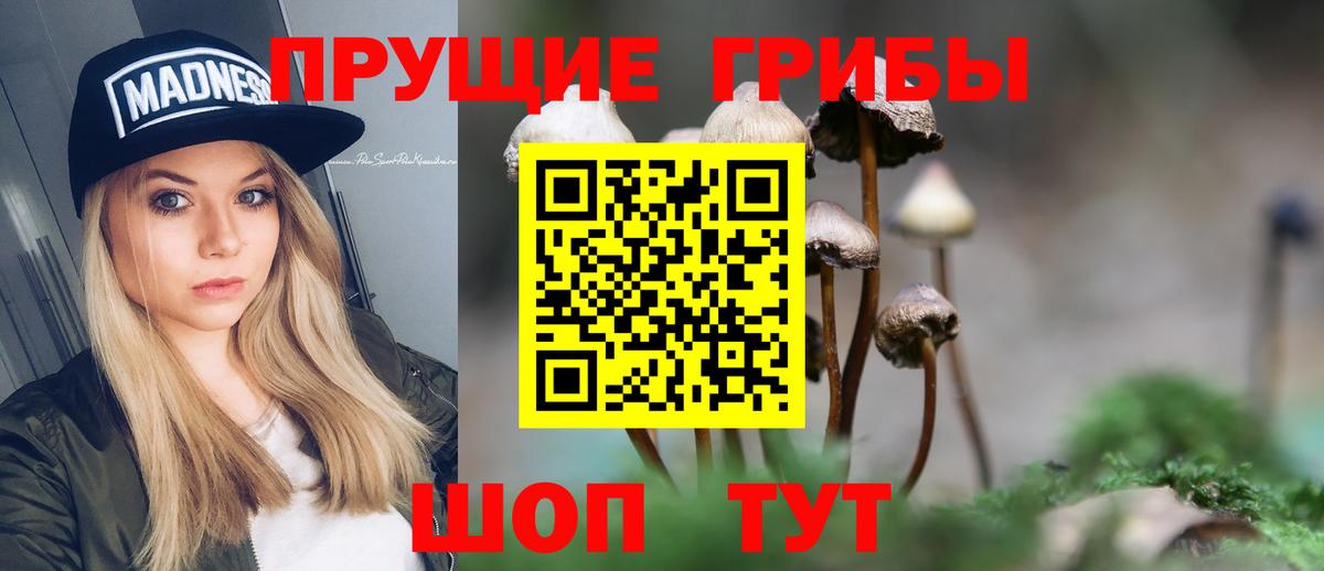 Волгоград  продажа наркотиков  Вход с VPN  Галлюциногенные грибы мицелий  Псилоцибиновые грибы Magic Shrooms 