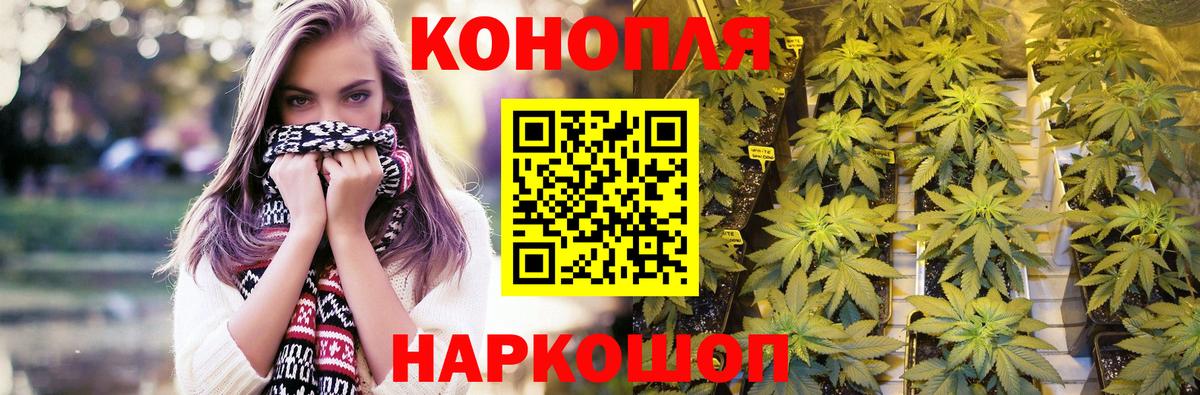 Бошки марихуана конопля Волгоград